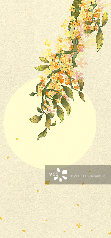 中秋月亮桂花无字版图片素材