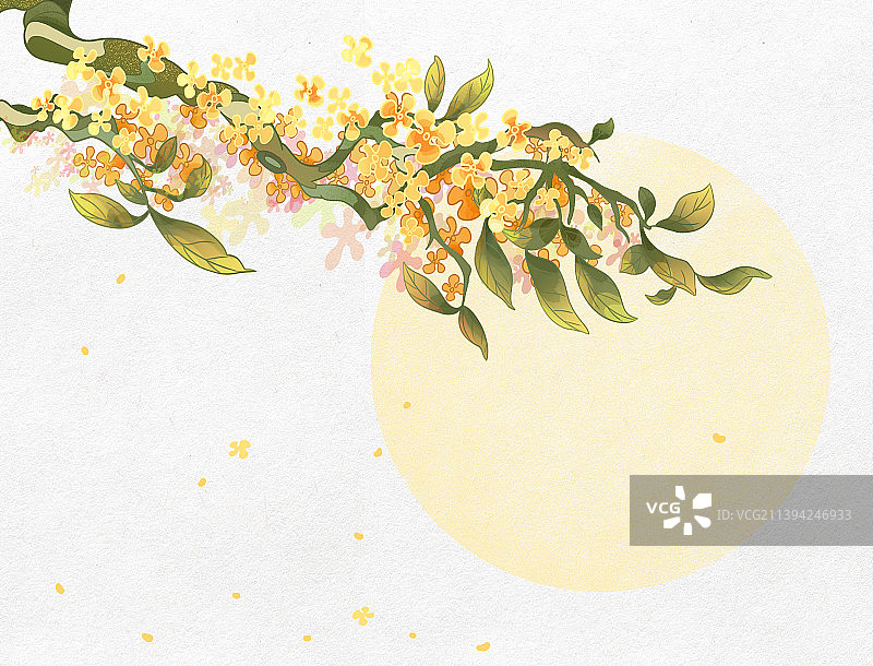 中秋秋分桂花月亮图片素材