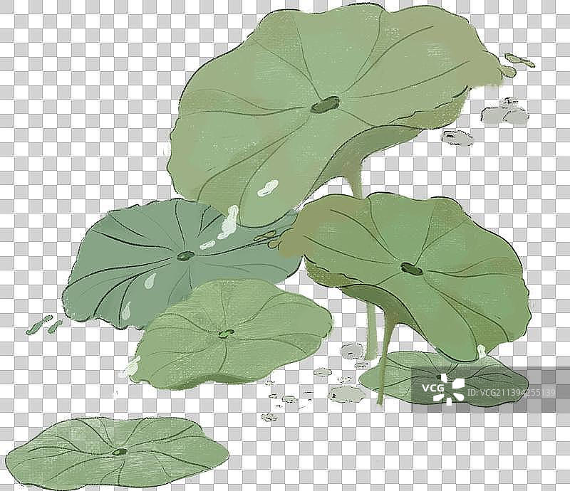 荷叶中国风手绘图片素材