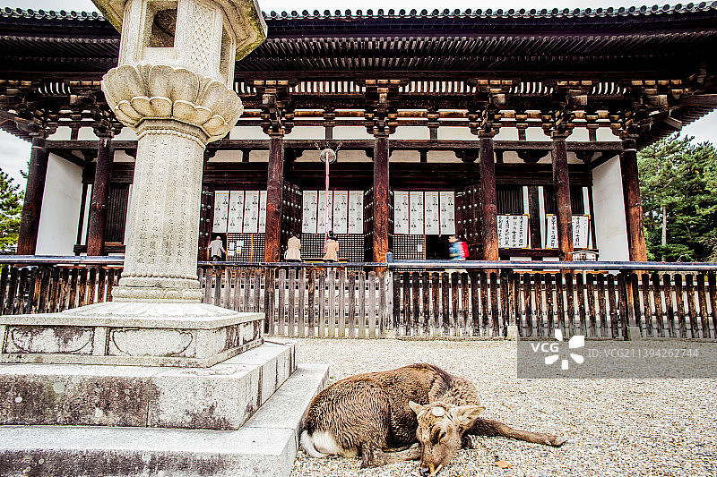 奈良国立博物馆图片素材