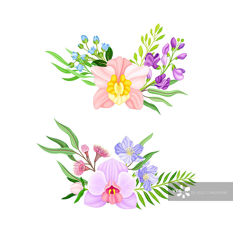 美丽的热带花卉花束图片素材