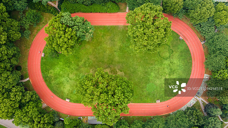 密林中的操场跑道图片素材