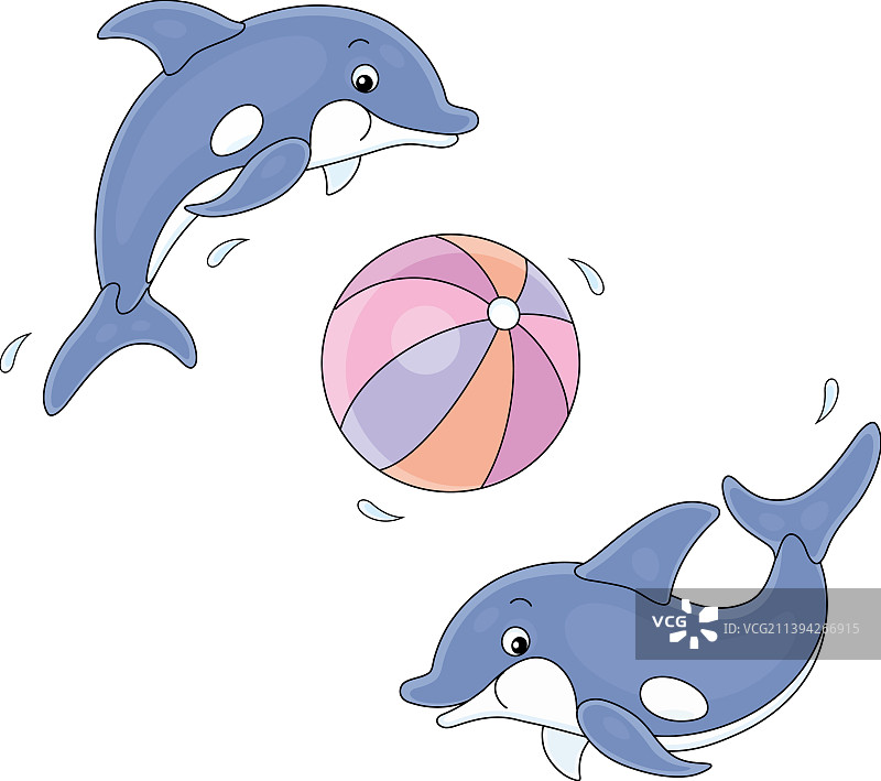 快乐的小海豚玩大球图片素材