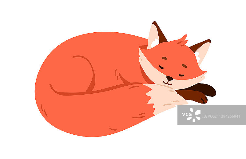 可爱小狐狸幼崽睡眠放松野生动物图片素材