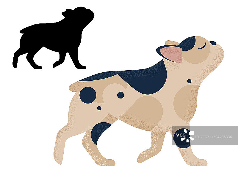 卡通和轮廓中的法国斗牛犬图片素材
