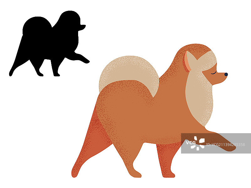 卡通和轮廓中的博美犬 шпиц 狗品种图片素材