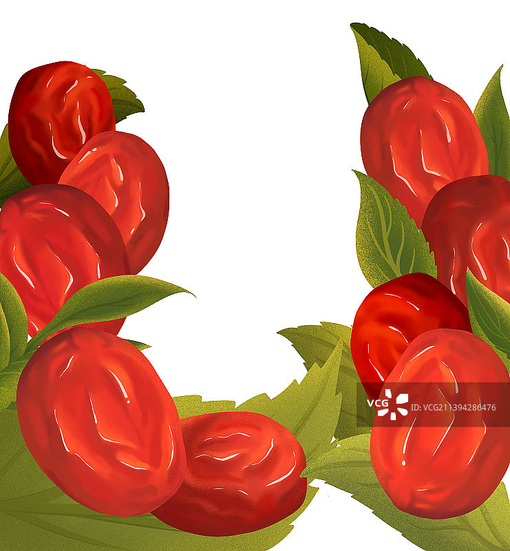 大红枣插画图片素材