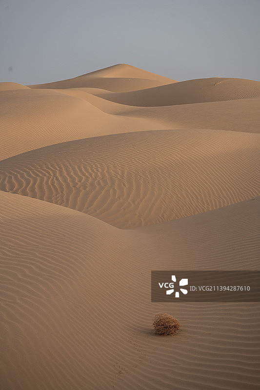 塔克拉玛干沙漠，罗布人村寨景区，慢慢黄沙图片素材