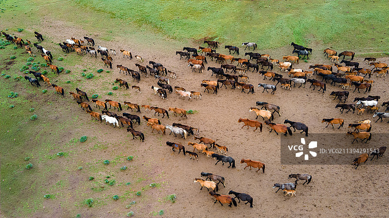 张掖山丹军马场图片素材