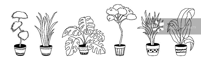 手绘线性盆栽花卉家居装饰图片素材