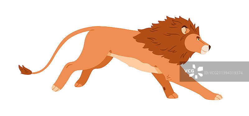 狂奔的非洲雄狮图片素材