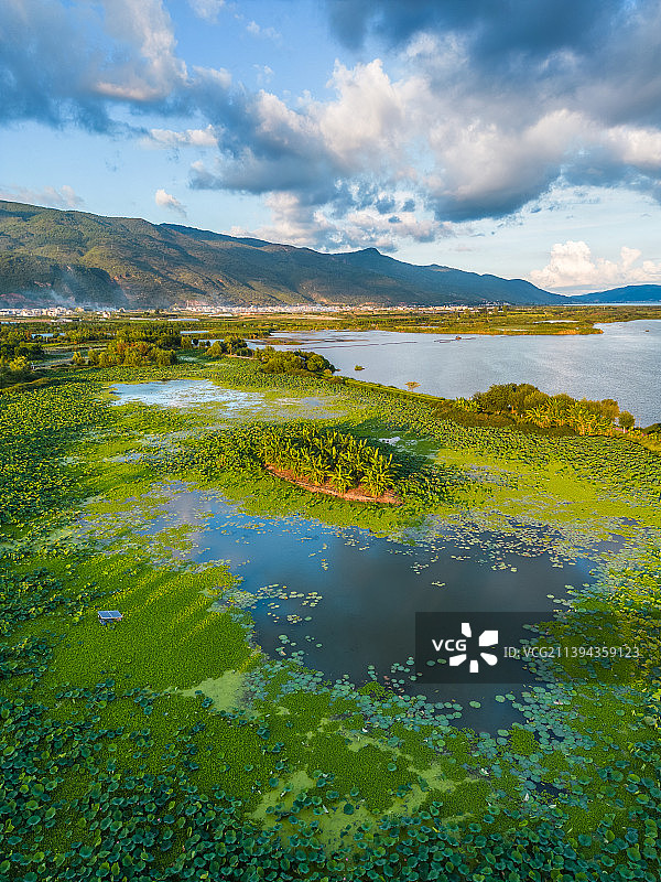云南省红河州石屏县湿地风光图片素材