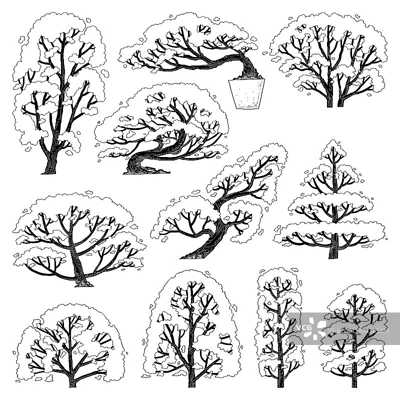 手绘侧视图树木合集图片素材