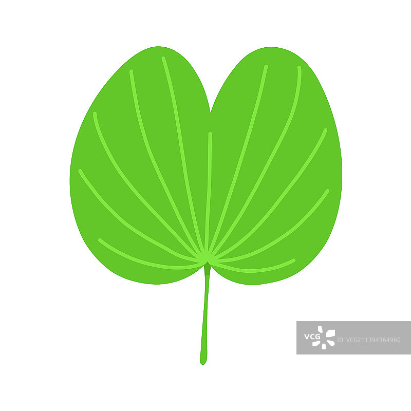 洋紫荆绿色新鲜叶子扁平风格图片素材