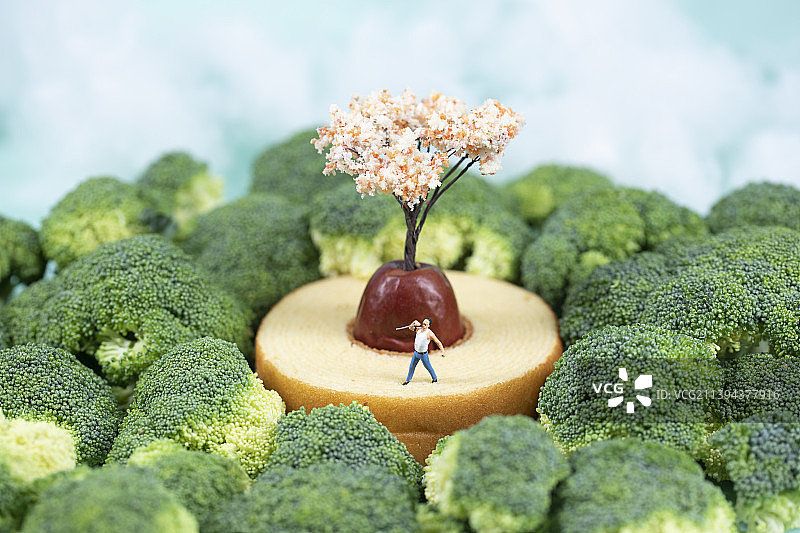 花椰菜上的模型小人图片素材