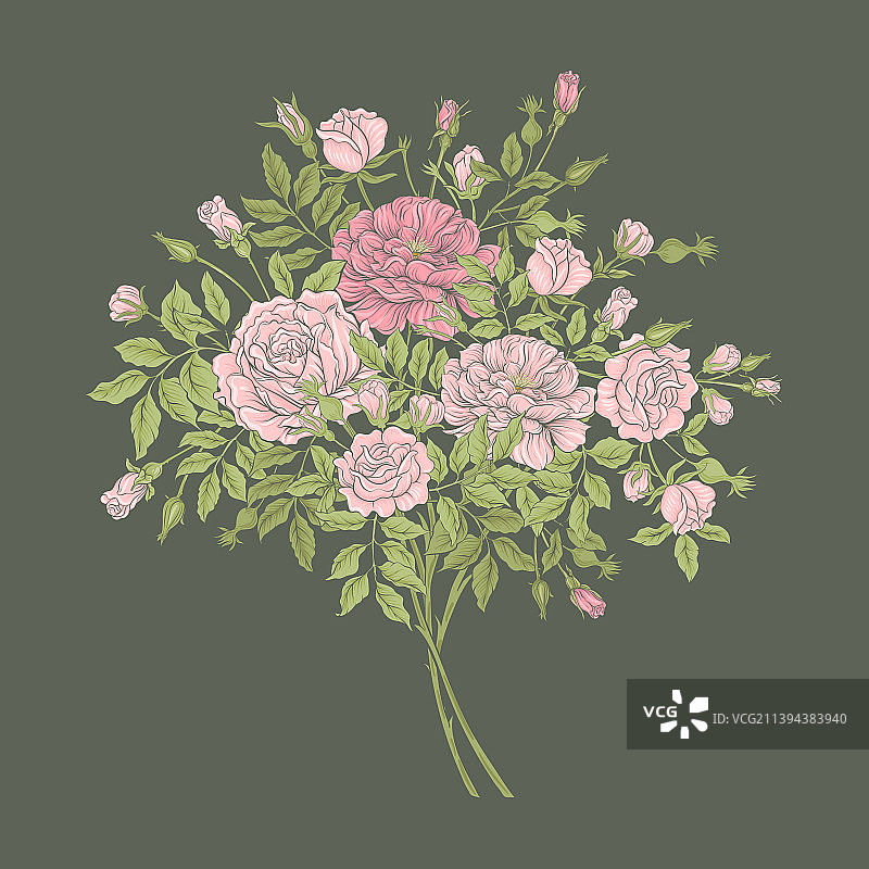 千花风格的玫瑰花枝图片素材