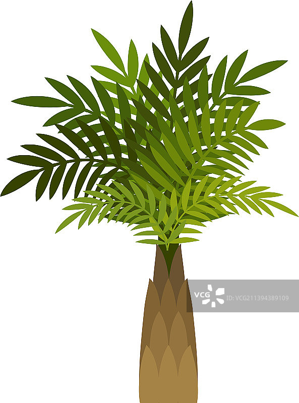 卡通棕榈树绿色热带森林植物图片素材