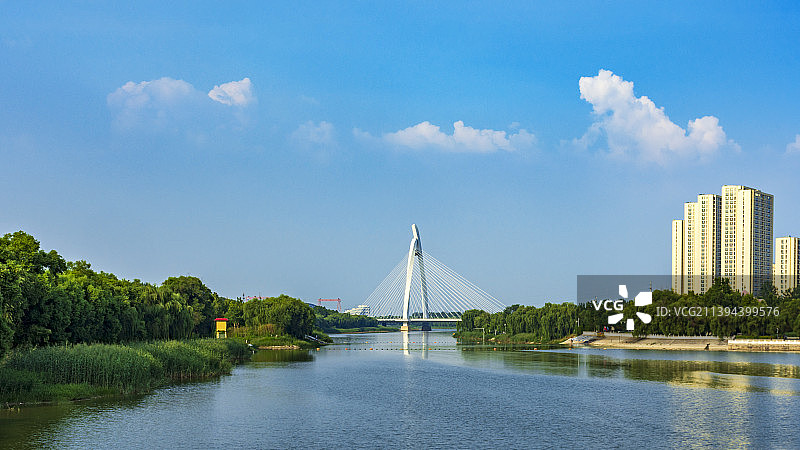 聊城徒骇河畔夏日美景22.7图片素材