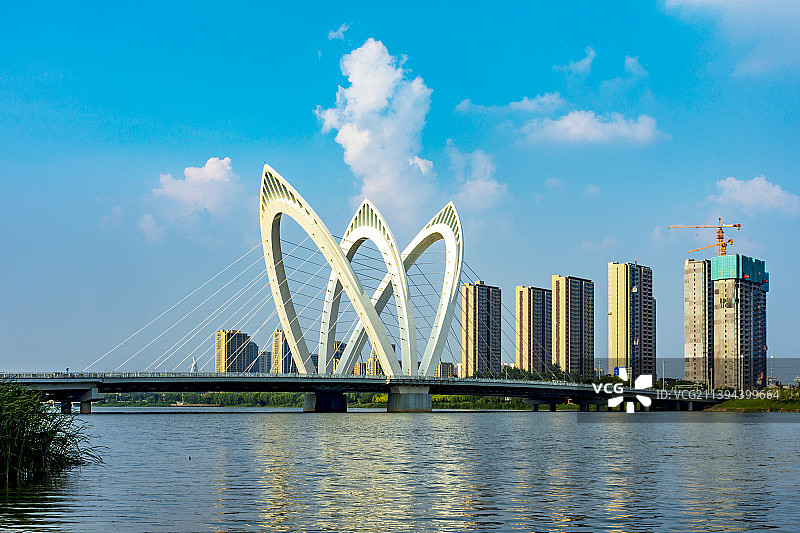 聊城徒骇河畔夏日美景22.7图片素材