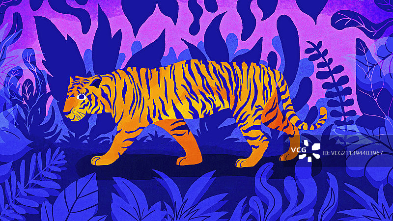 草丛老虎扁平插画图片素材