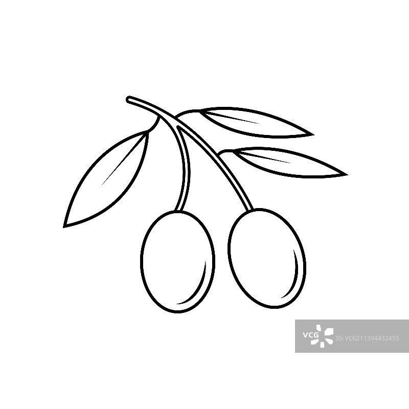 橄榄果黑白轮廓图标图片素材