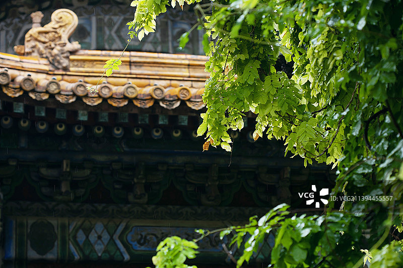 雨后故宫御花园一角图片素材