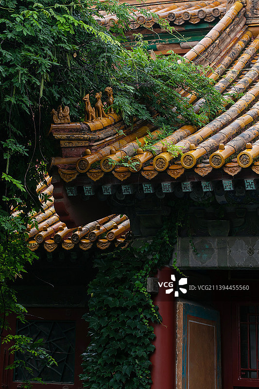 雨后故宫,屋檐斗拱屋脊兽图片素材