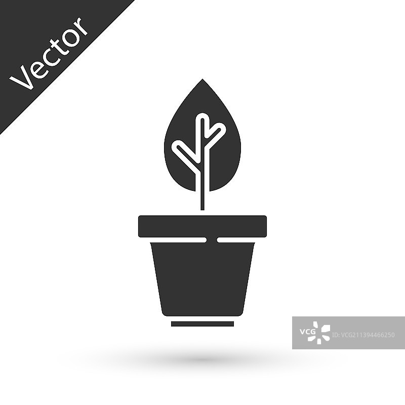白色背景上的灰色盆栽图标图片素材
