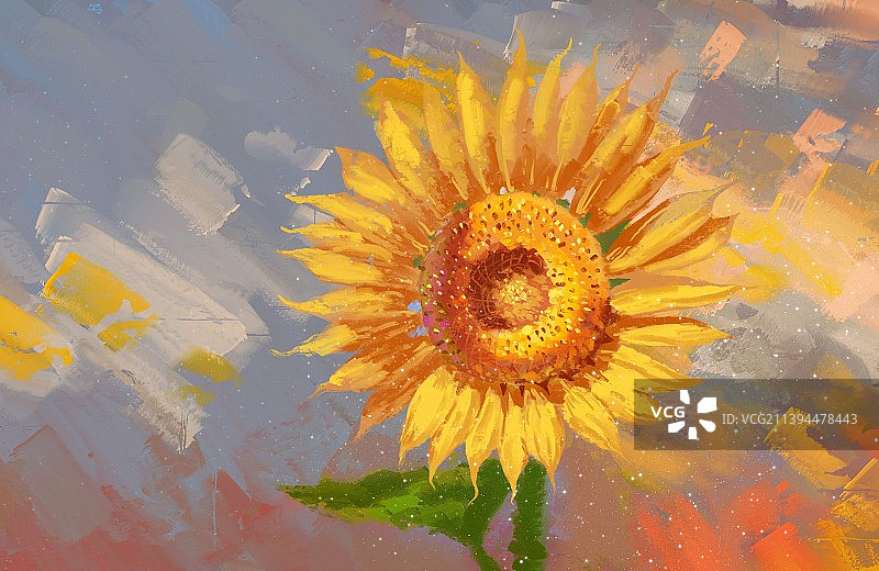 向日葵图片素材