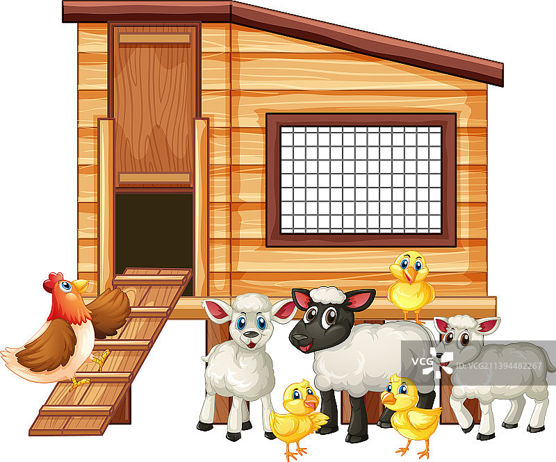 白色背景上的农场动物图片素材