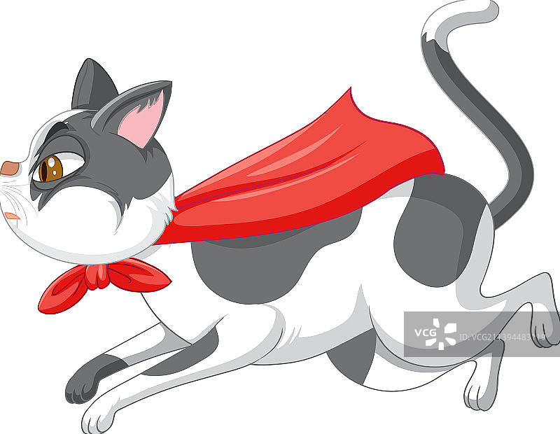 白色背景上的英雄猫图片素材