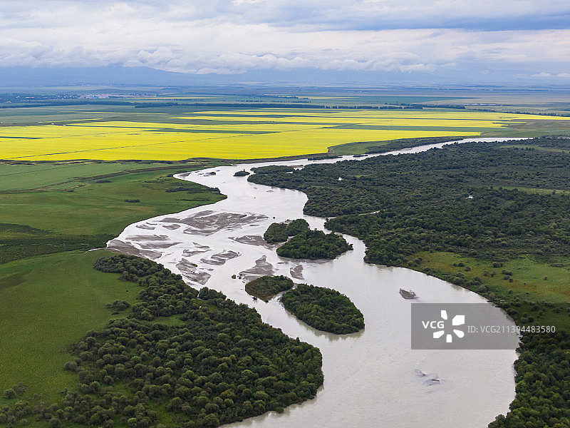 航拍昭苏油菜花华-12图片素材