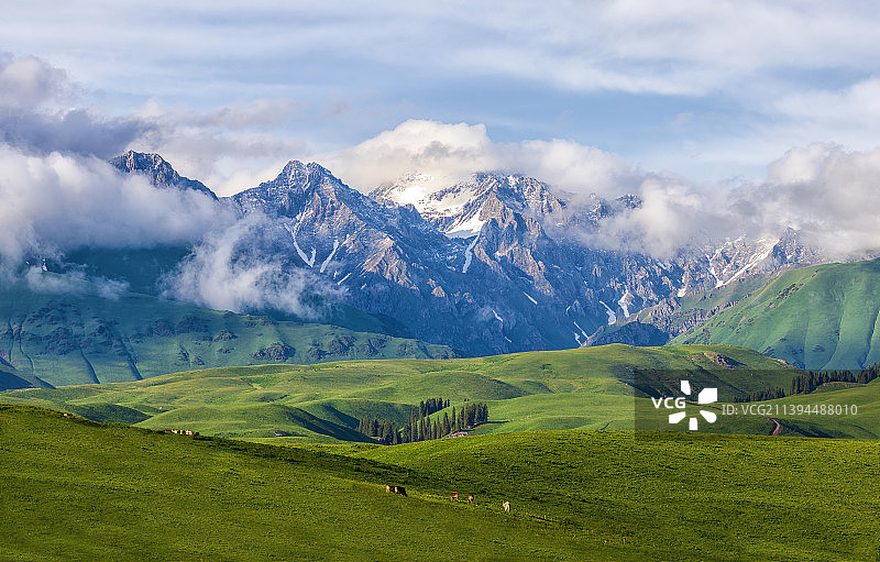 新疆唐布拉百里画廊图片素材