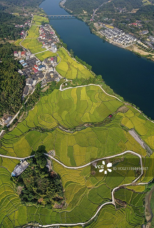乡村.田野图片素材