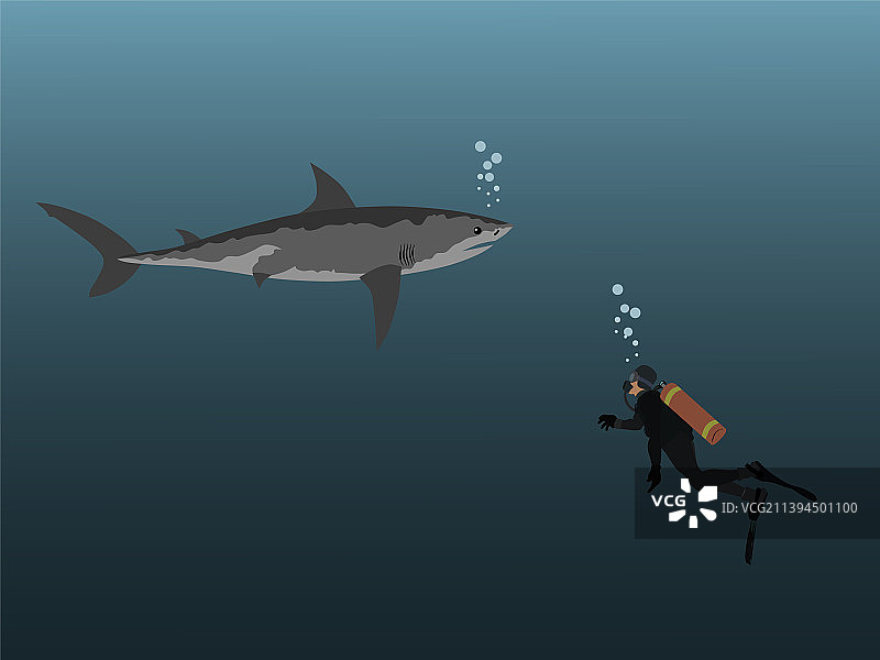 潜水员在海底遇到鲨鱼图片素材