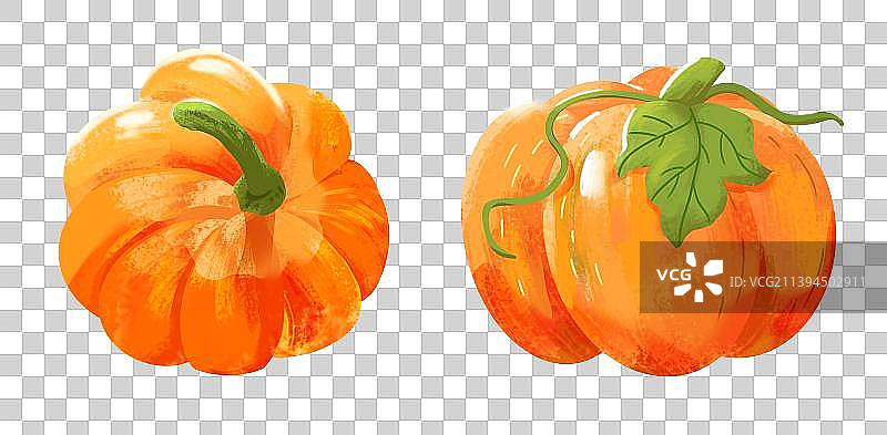 橙黄色南瓜手绘插画元素图片素材
