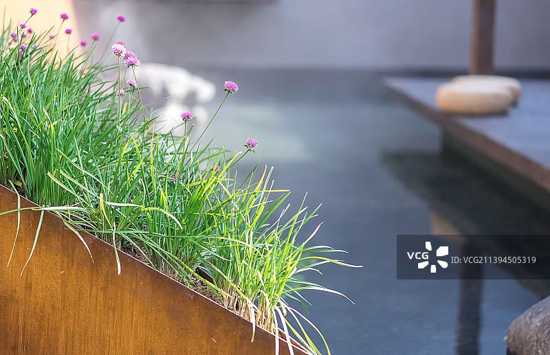 深圳莲花山花展现代中式风格园林图片素材