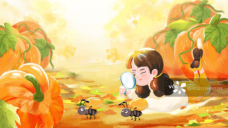 秋天南瓜地孩子趴地上看蚂蚁搬家插画图片素材