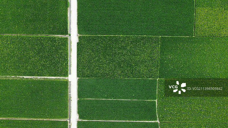 现代化田野图片素材