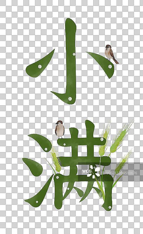 小满节气字体设计素材图片素材
