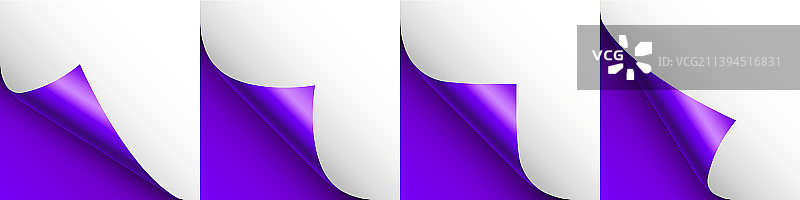 带有卷曲页角的紫色纸卷合集图片素材