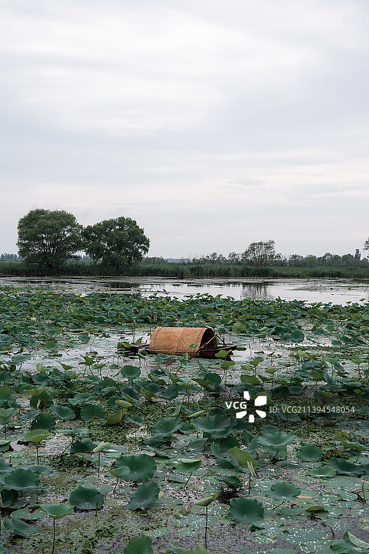 微山湖微山岛图片素材