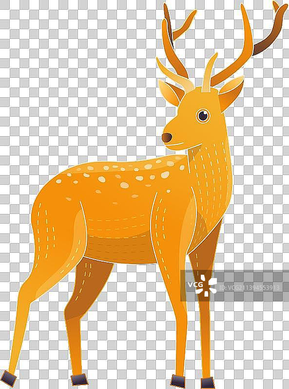 可爱的橙色小鹿图片素材