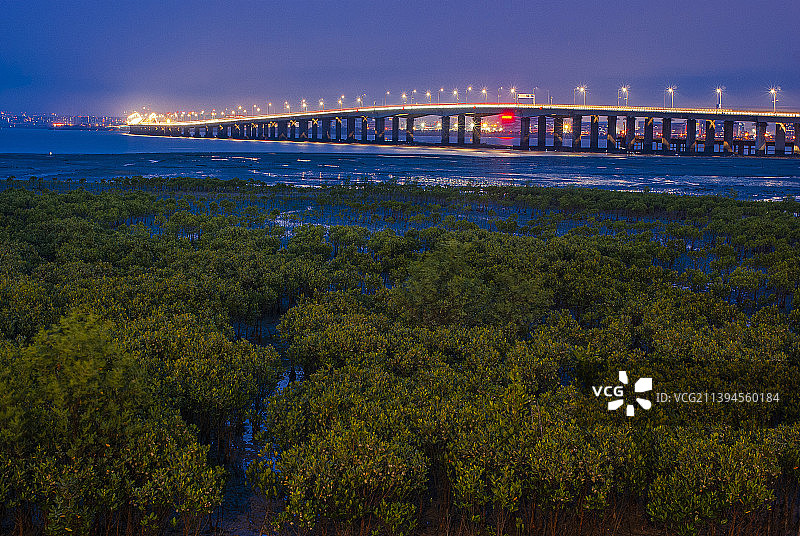 厦门集美大桥夜景图片素材