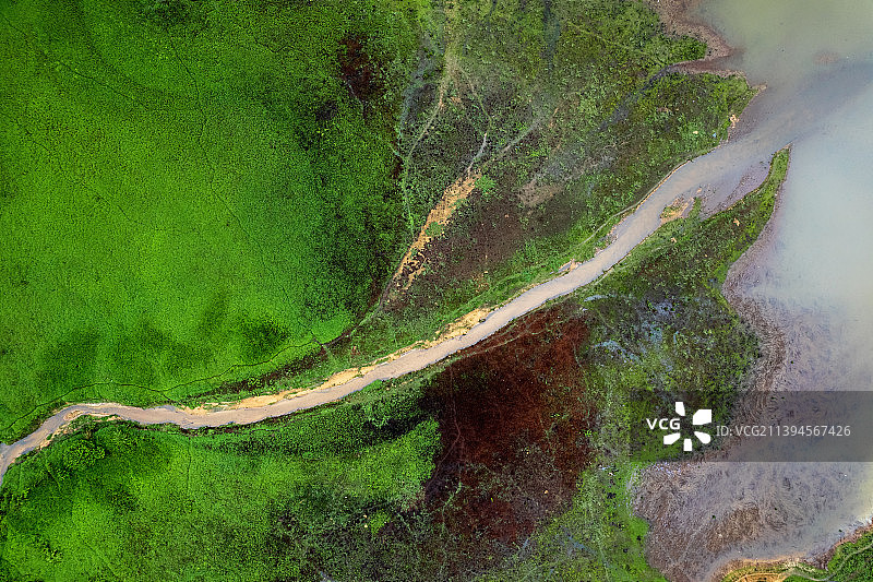 雨季天的东莞大岭山森林公园图片素材