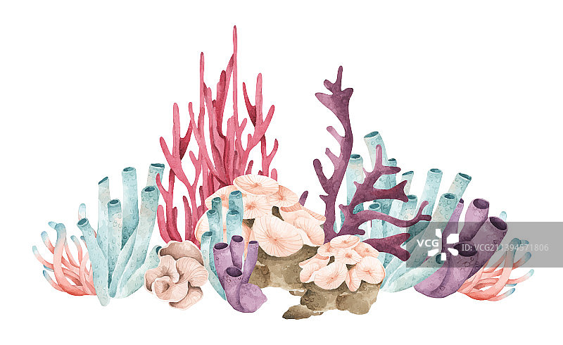 水彩海珊瑚元素图片素材