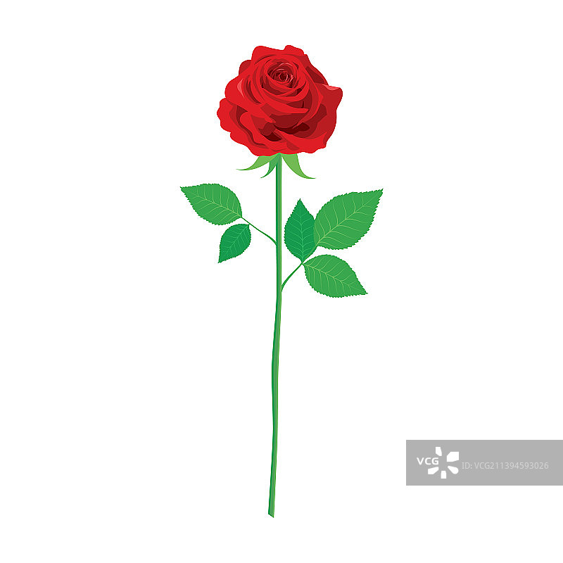 单支长茎红色玫瑰图标图片素材