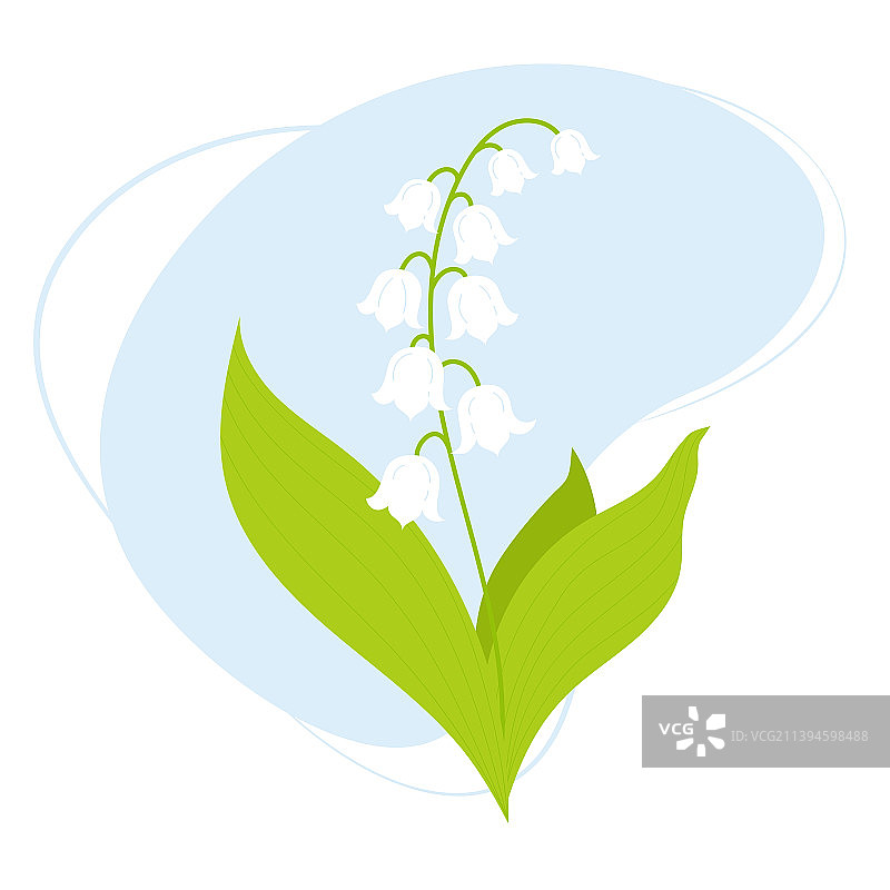 美丽五月铃兰春季花卉图片素材