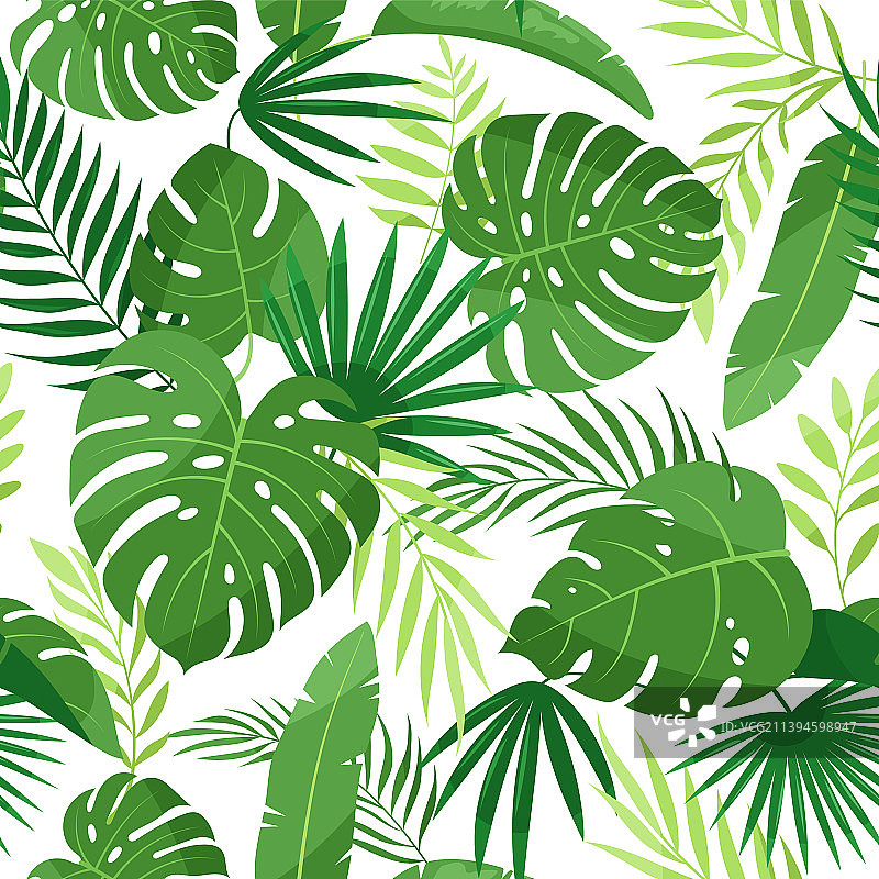 热带树叶无缝图案图片素材