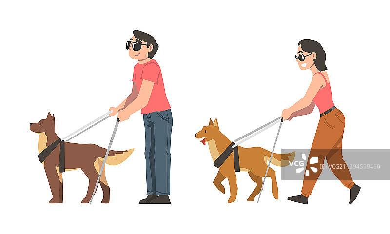 训练有素的导盲犬与盲人图片素材